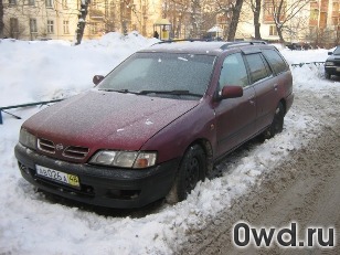 Битый автомобиль Nissan Primera