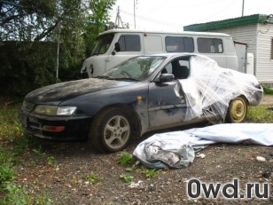 Битый автомобиль Toyota Carina ED